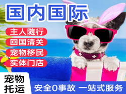 南充高坪航空快递国际宠物托运 【国